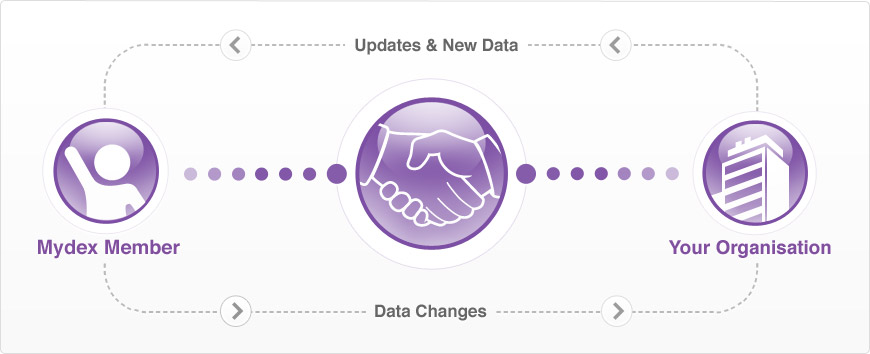 Information Flow